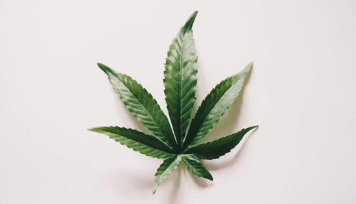 H4CBD im Vergleich zu HHC, CBD und THC