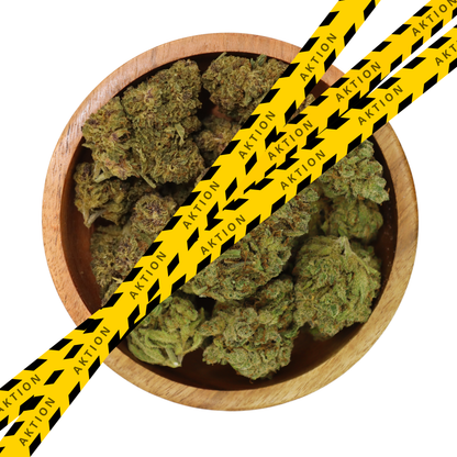 12g Aktion - "Northern Light" + "Forbidden Fruit"