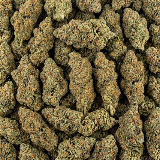 CBDX Blüten - "Gary Payton"