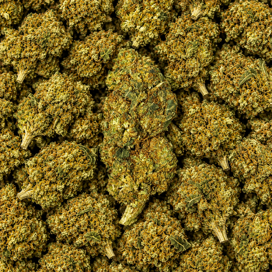 CBDX Blüten - "Super Lemon Haze"