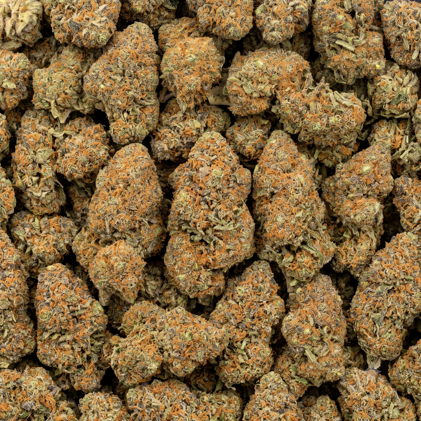 CBDX Blüten - "Purple Punch"