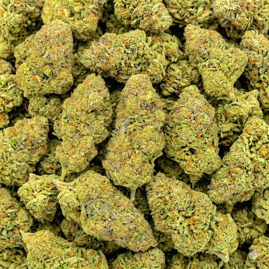 CBDX Blüten - "Wedding Crasher"