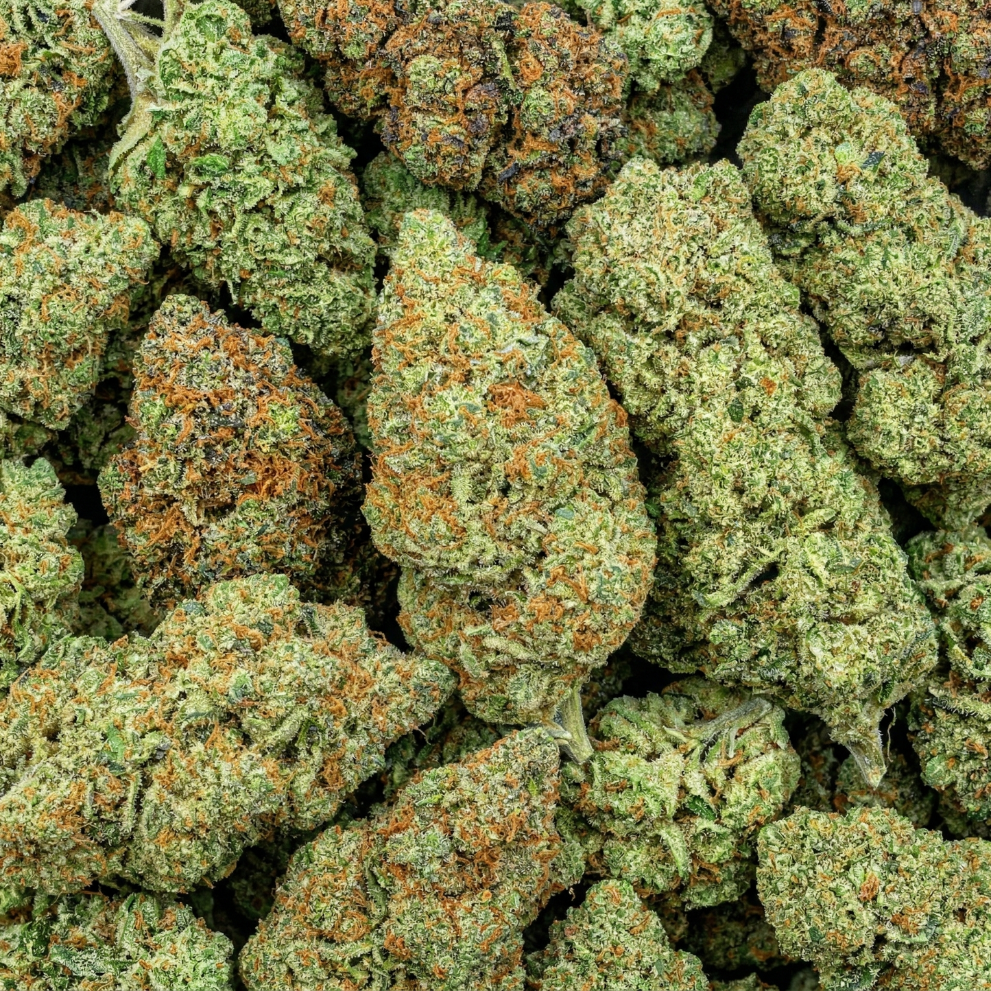 CBD Blüten Premium Mix – aromatische Auswahl von Indoor-Sorten