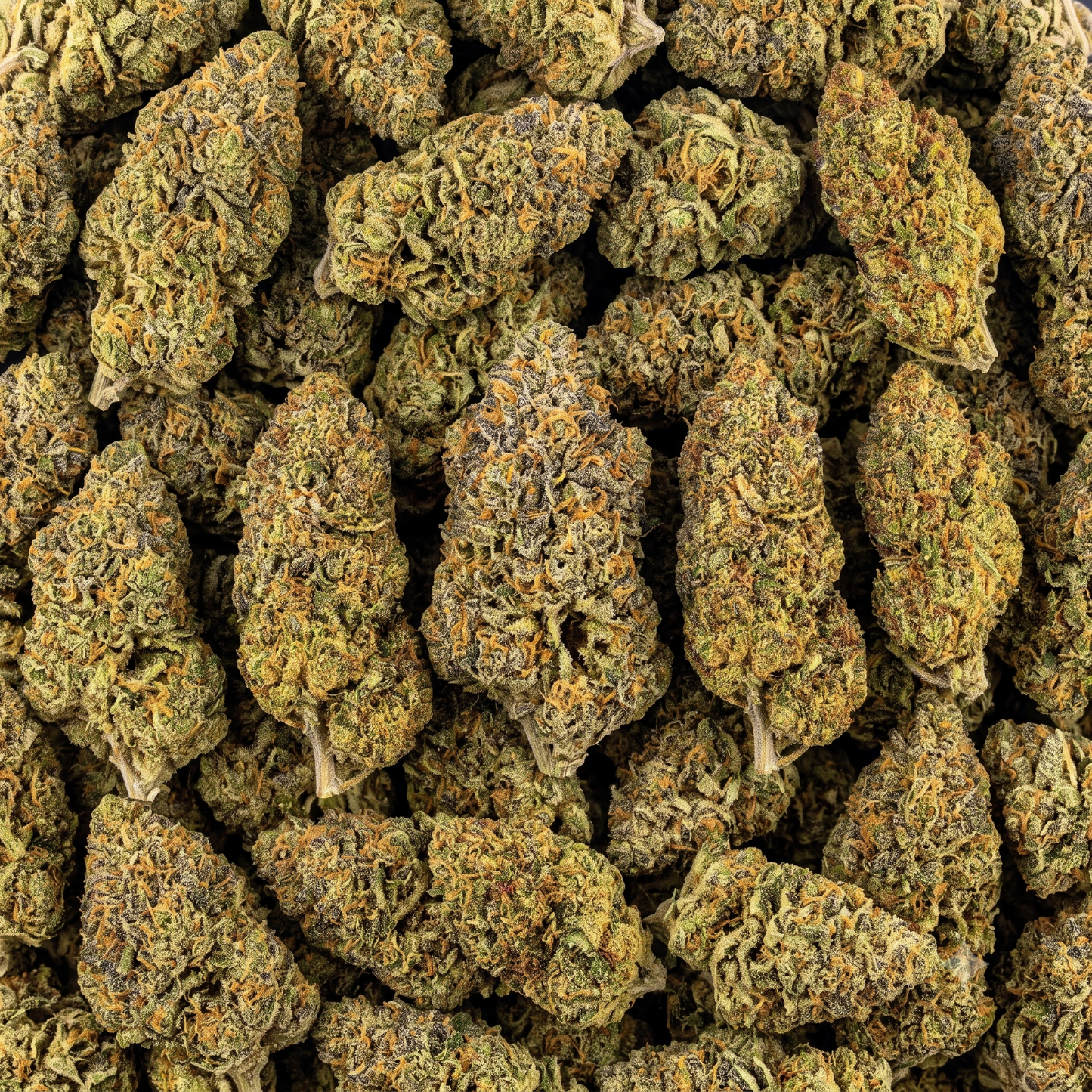 CBDX Blüten - "White Widow"