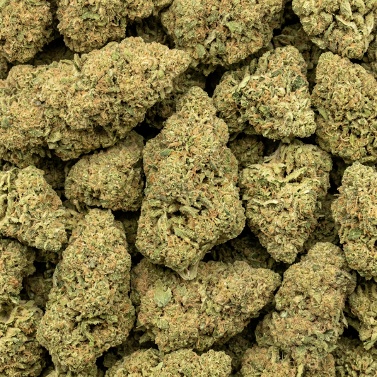 CBDX Blüten - "Tropical Runtz"